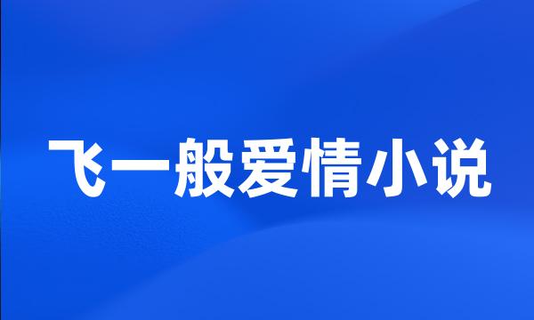 飞一般爱情小说