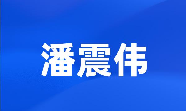 潘震伟