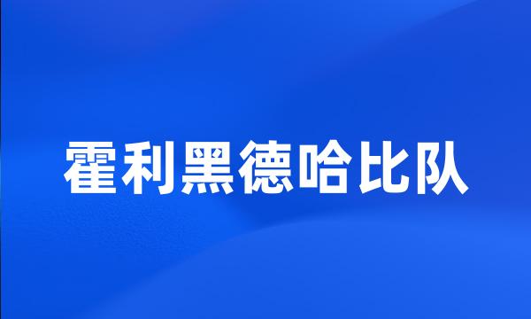 霍利黑德哈比队