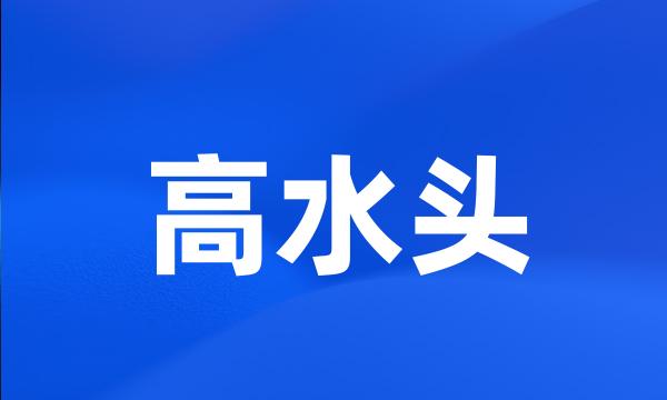 高水头