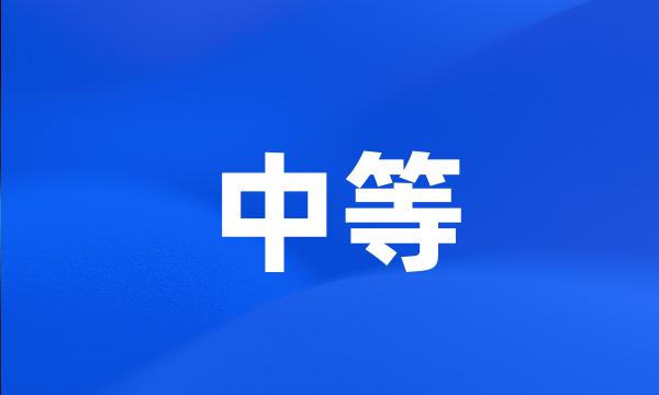 中等