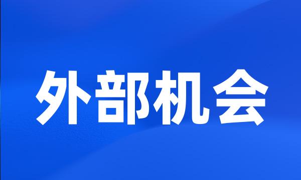 外部机会