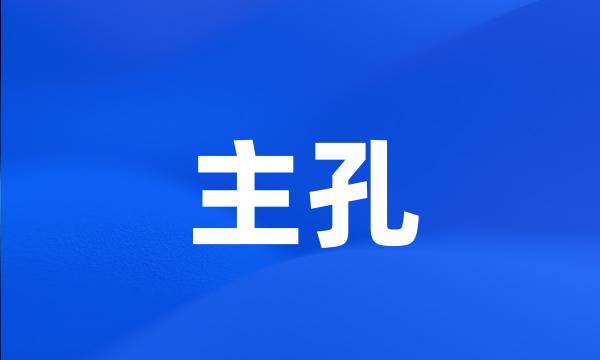 主孔