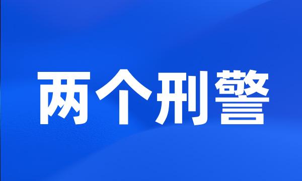 两个刑警