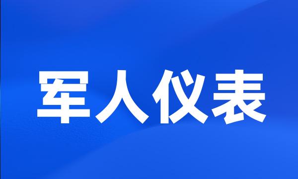 军人仪表