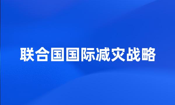 联合国国际减灾战略