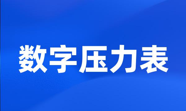 数字压力表