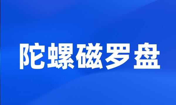 陀螺磁罗盘