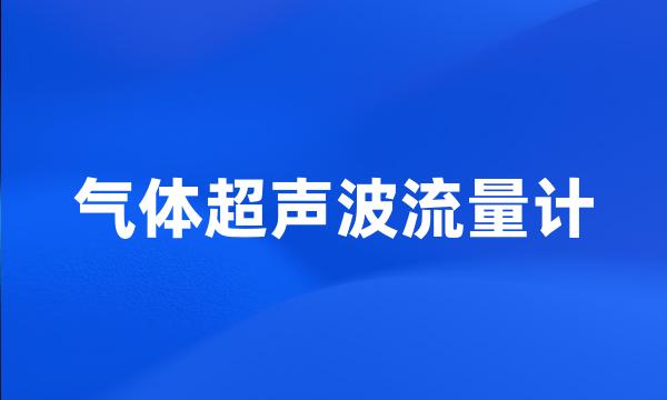 气体超声波流量计