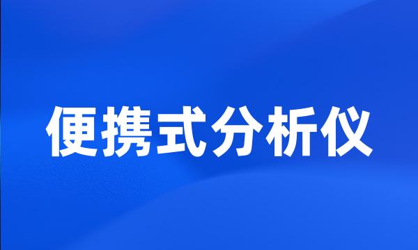 便携式分析仪