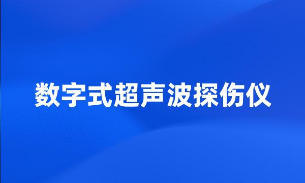 数字式超声波探伤仪