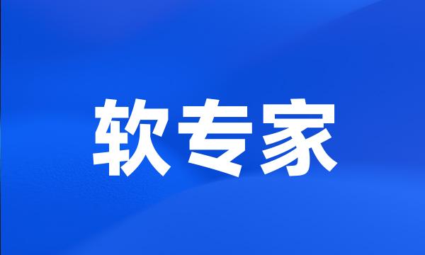 软专家