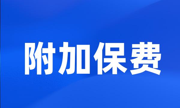 附加保费