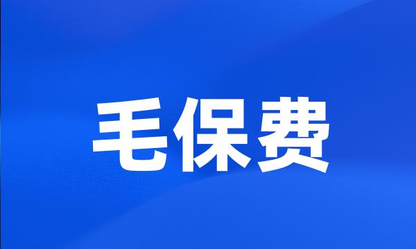 毛保费