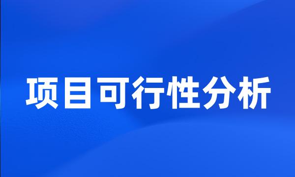 项目可行性分析