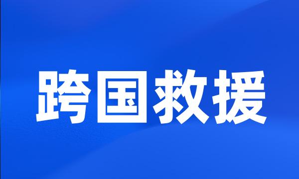 跨国救援