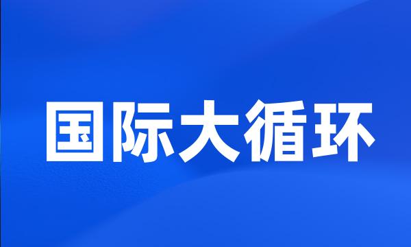 国际大循环