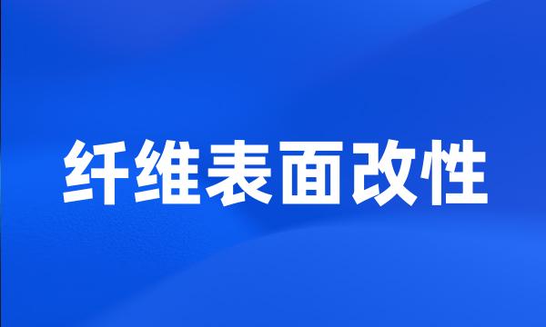 纤维表面改性