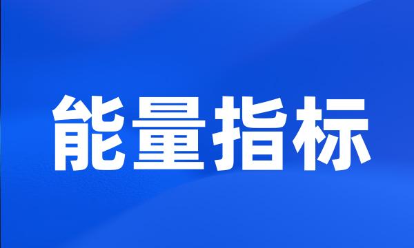 能量指标