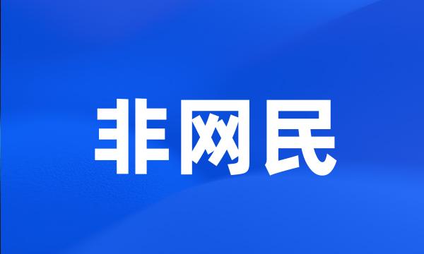 非网民