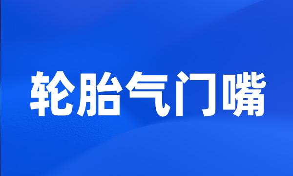 轮胎气门嘴