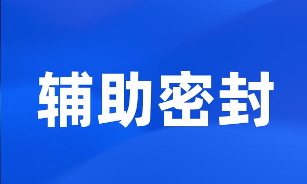 辅助密封