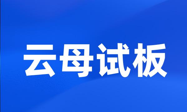 云母试板