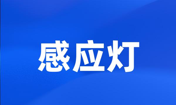 感应灯