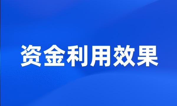 资金利用效果