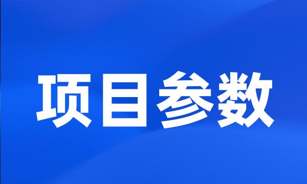 项目参数