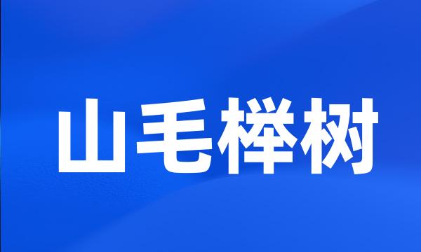 山毛榉树