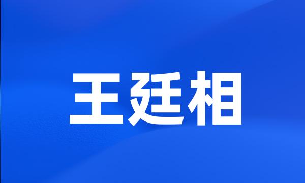 王廷相