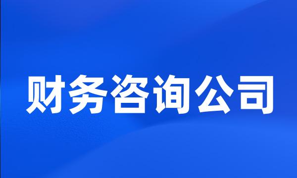 财务咨询公司