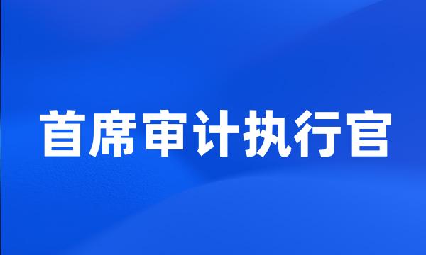 首席审计执行官