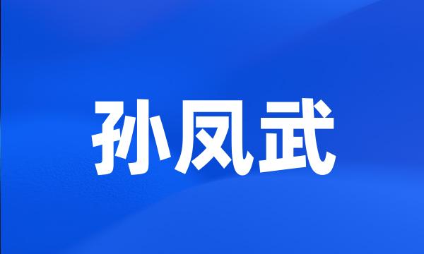 孙凤武