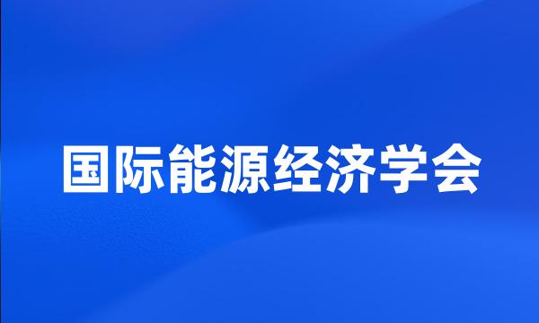 国际能源经济学会