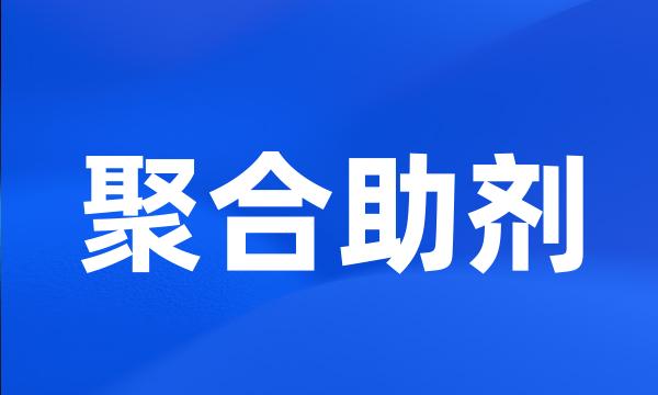 聚合助剂