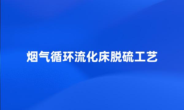 烟气循环流化床脱硫工艺