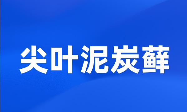 尖叶泥炭藓