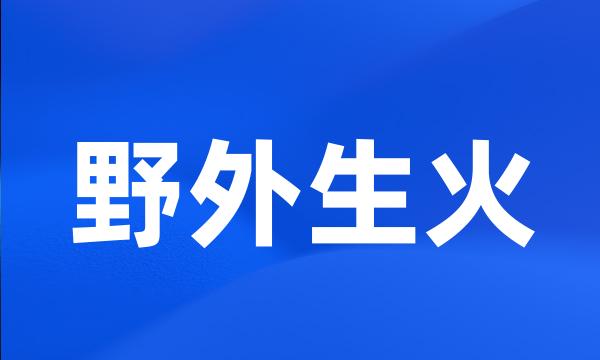 野外生火