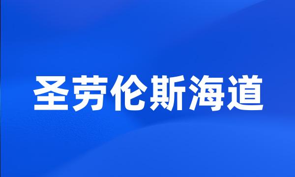 圣劳伦斯海道