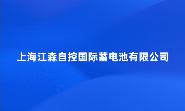 上海江森自控国际蓄电池有限公司