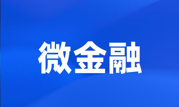 微金融