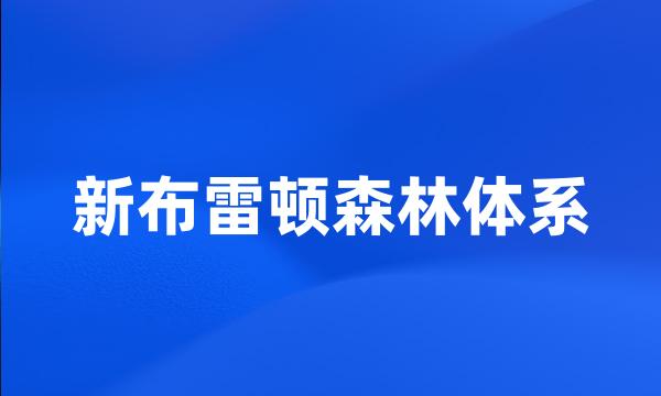 新布雷顿森林体系