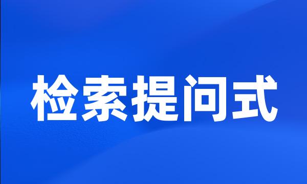 检索提问式