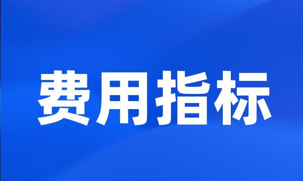 费用指标