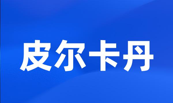 皮尔卡丹