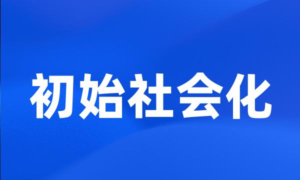 初始社会化