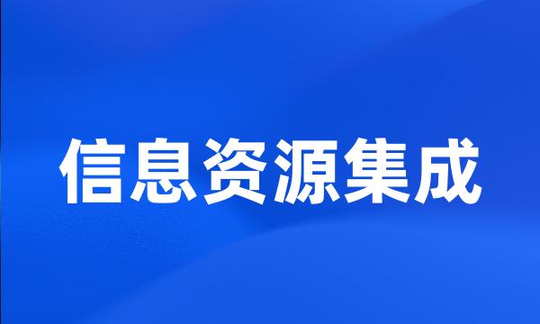 信息资源集成