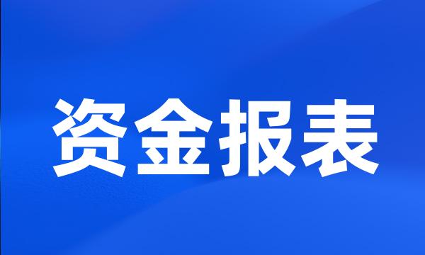 资金报表